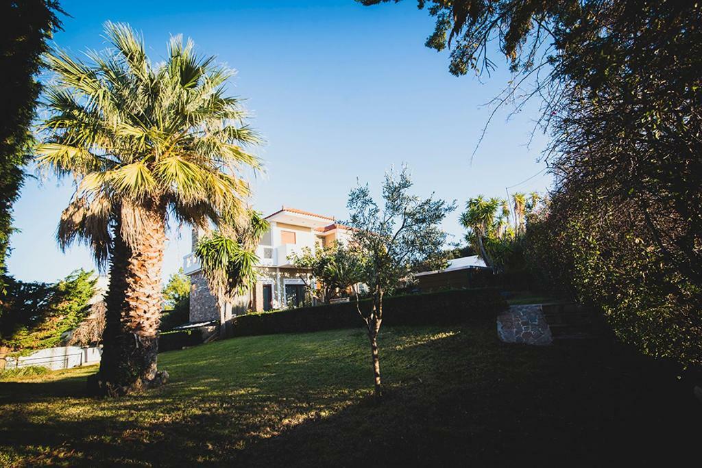 Villa Soula Anavyssos Luaran gambar